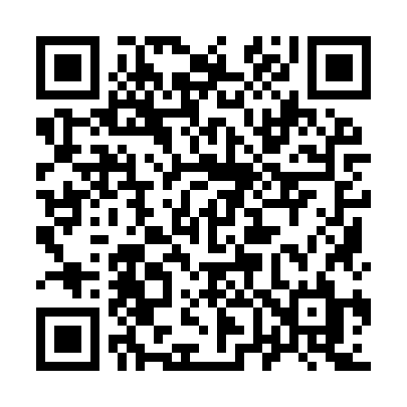 QR code for 9699ZL