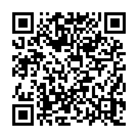 QR code for 9729DZ