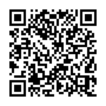 QR code for 9729ES