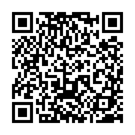 QR code for 9795TI