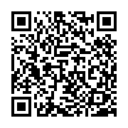 QR code for 9910FX