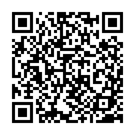 QR code for 9911TI