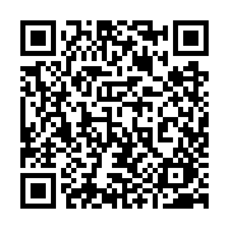 QR code for 9917ZO