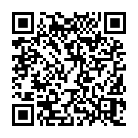 QR code for 9919IR