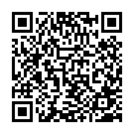 QR code for 9950PV