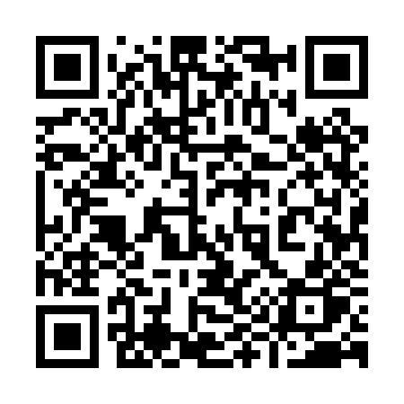 QR code for 9950ZP