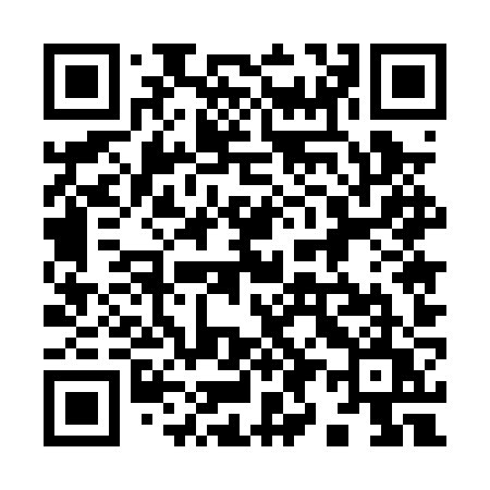 QR code for 9950ZU