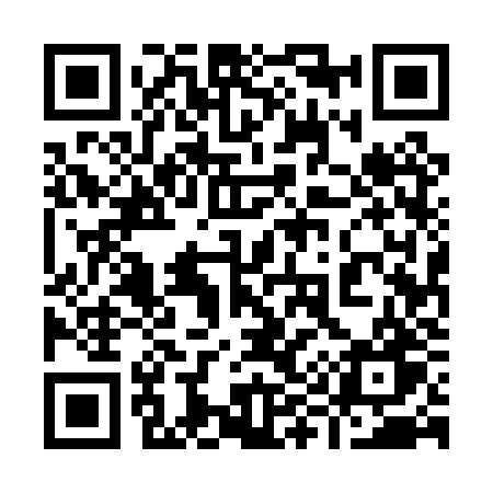 QR code for 9950ZW
