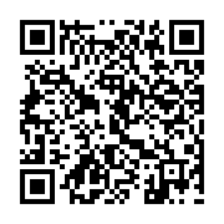 QR code for 9953QT