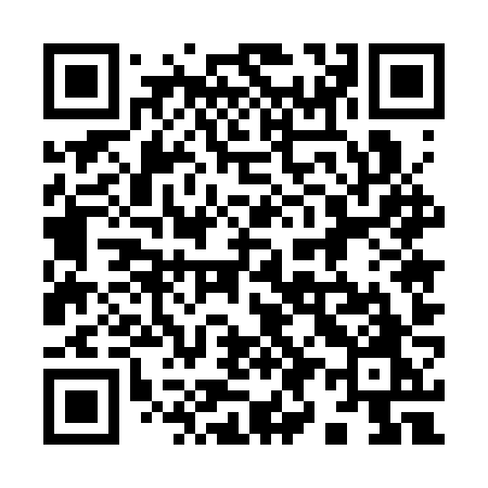 QR code for 9953ZO