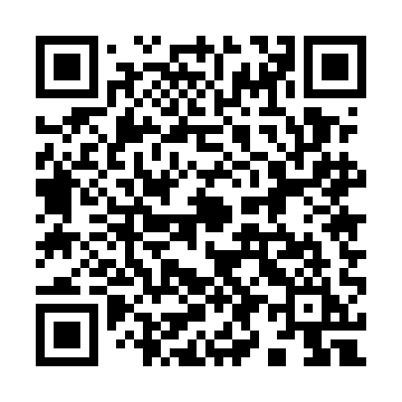 QR code for 9955AI