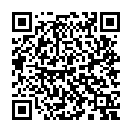 QR code for 9955SP