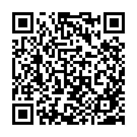 QR code for 9991HD