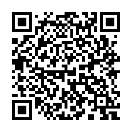 QR code for 9991QI
