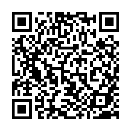 QR code for 9991XI