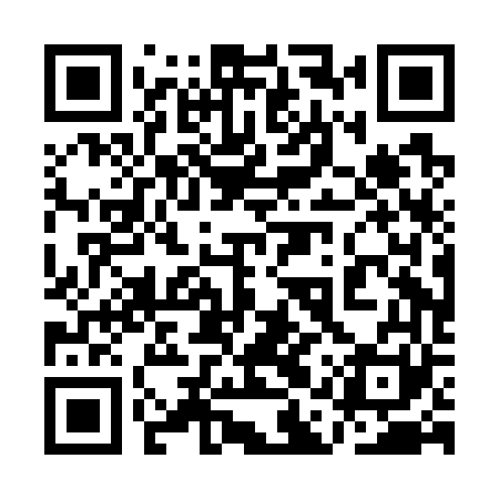 QR code for 1APG61