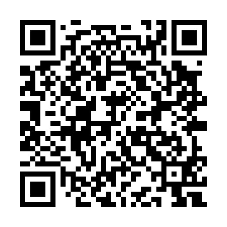 QR code for 1BIP91