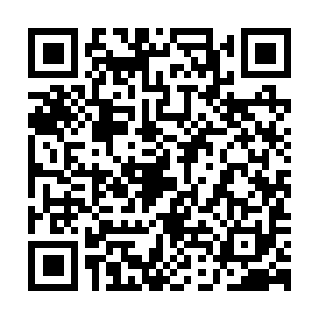 QR code for 1DI2911