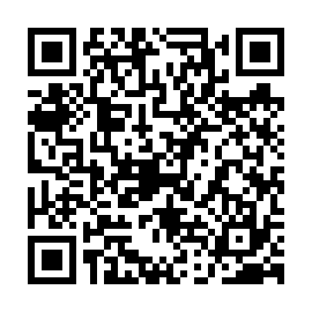 QR code for 1DI6379
