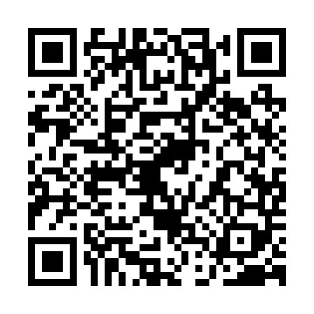 QR code for 1DQ2494