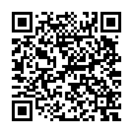 QR code for 1IRT29