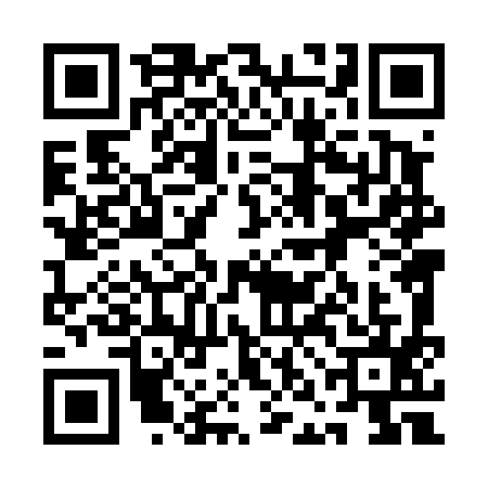 QR code for 1NL4955