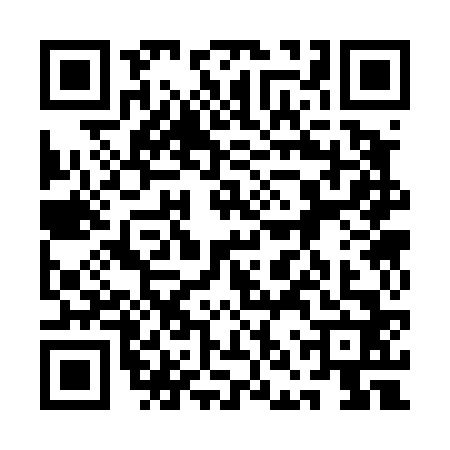 QR code for 1NS4629
