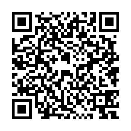 QR code for 1QN4381