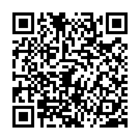 QR code for 1SS5295