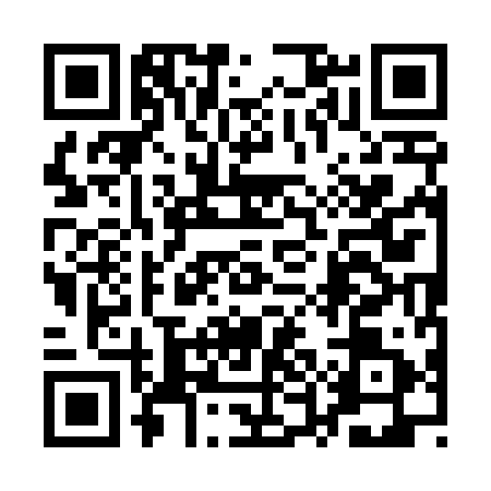 QR code for 1UK4911