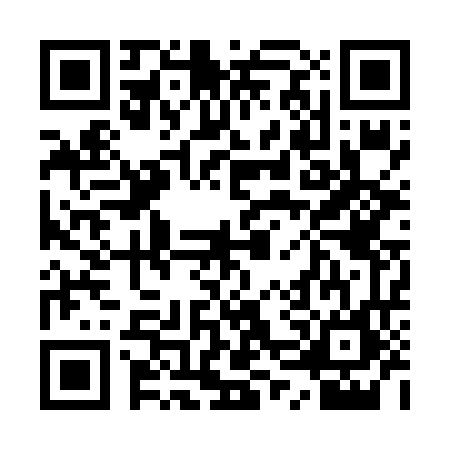 QR code for 1VP6666