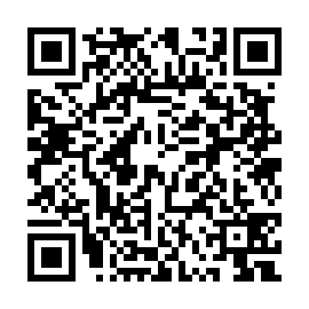 QR code for 1VS4399