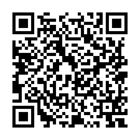 QR code for 1ZQ9953