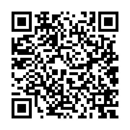QR code for 2BF5295