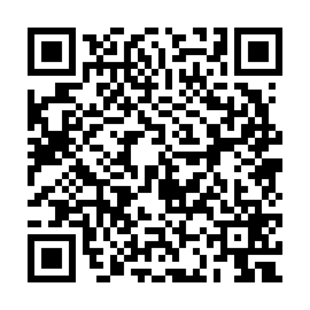 QR code for 2CP6696