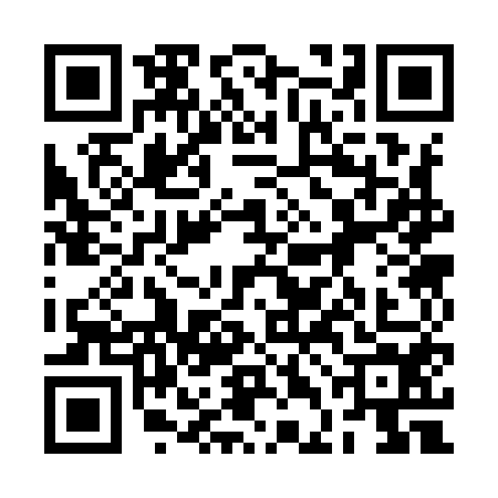 QR code for 2DC9541
