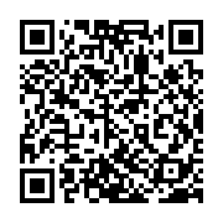 QR code for 2DCS38