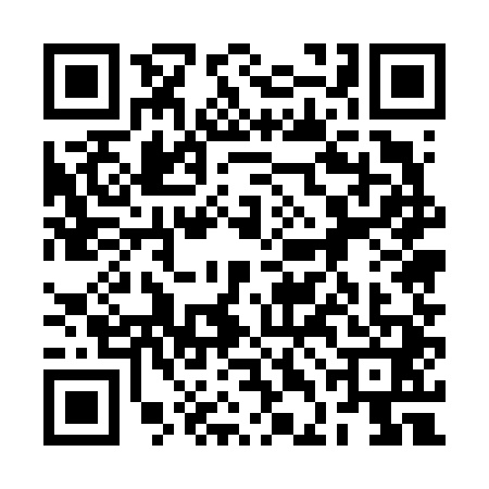 QR code for 2DE6413