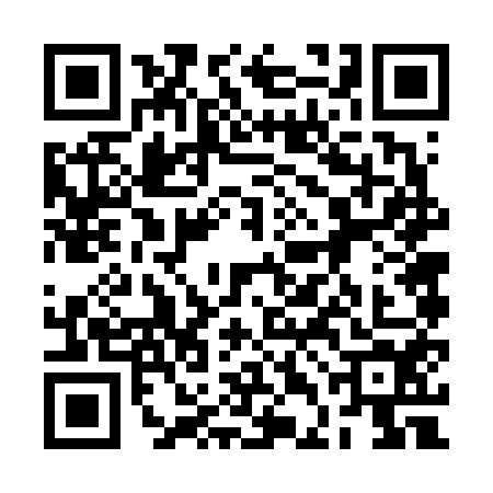 QR code for 2DF6541