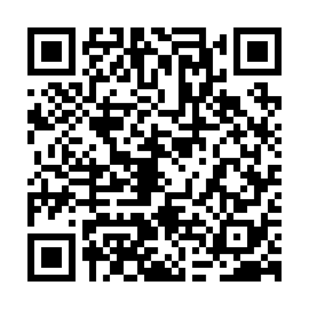 QR code for 2DG2782