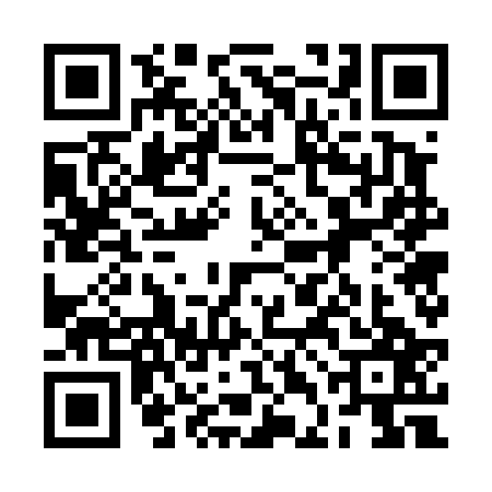 QR code for 2DG4275