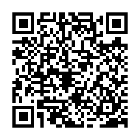 QR code for 2DG6249