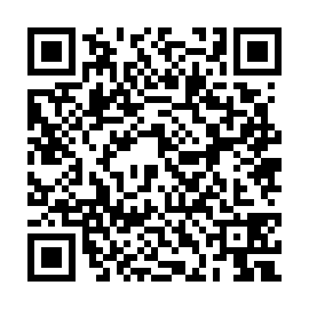 QR code for 2DJ7383