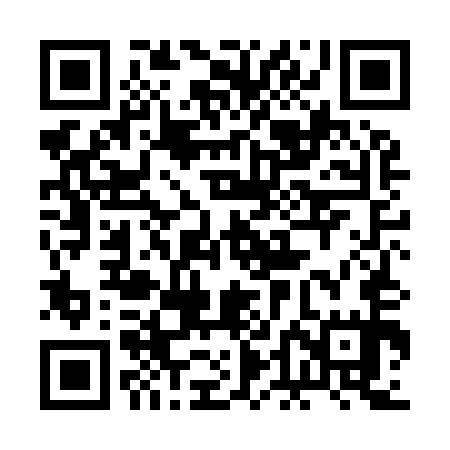 QR code for 2DLI55