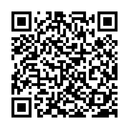 QR code for 2DLP29