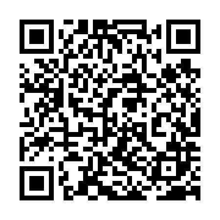 QR code for 2DLV82