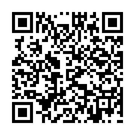 QR code for 2DMZ17