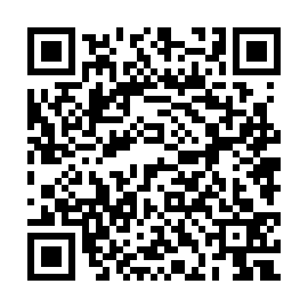 QR code for 2DN3331