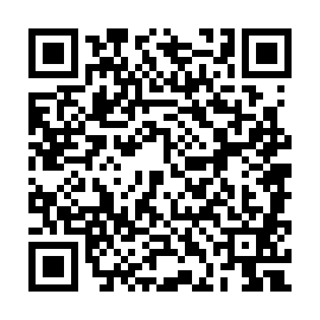 QR code for 2DN3811