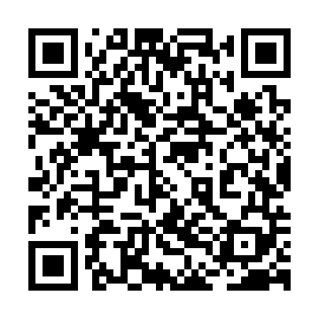 QR code for 2DNS49